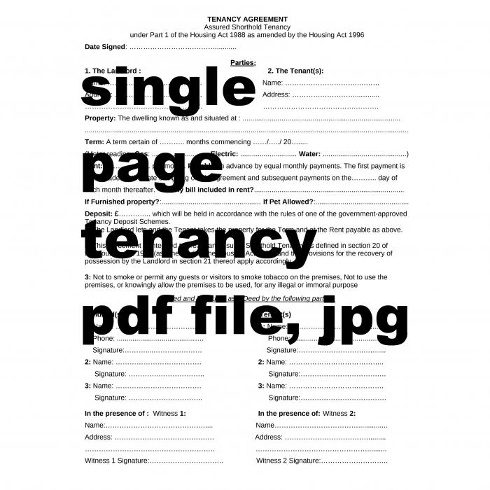 Print A4 Portrait 2x A4 Tenancy Agreement Printed Blank Single Page 